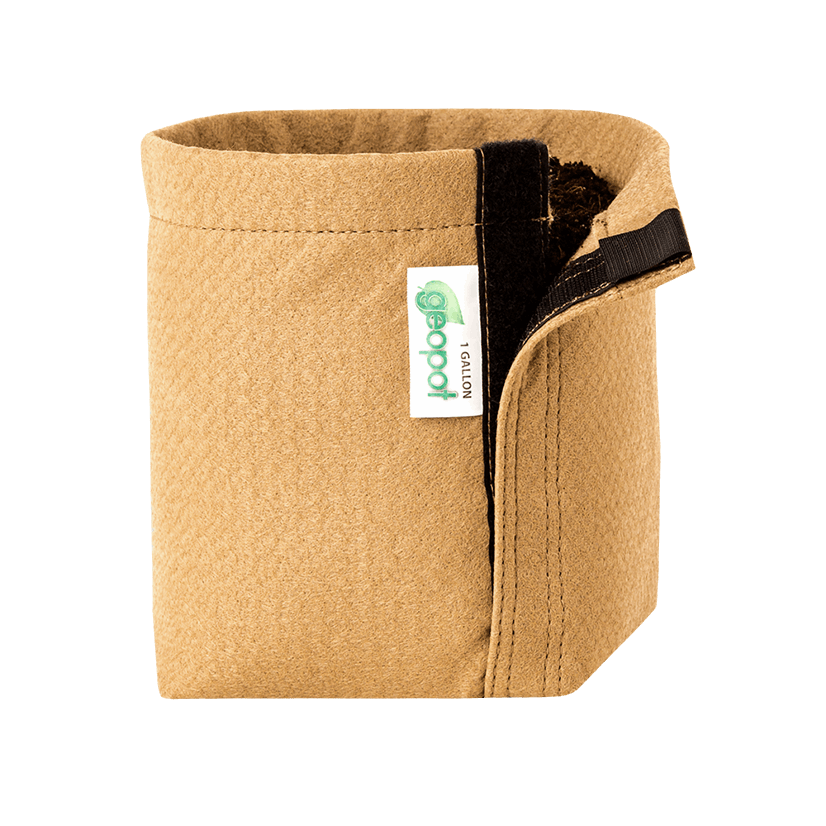 GeoPot Velcro Transplanter Grow Bags - Tan