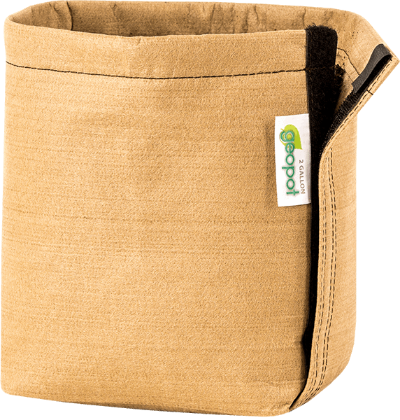 GeoPot Velcro Transplanter Grow Bags - Tan