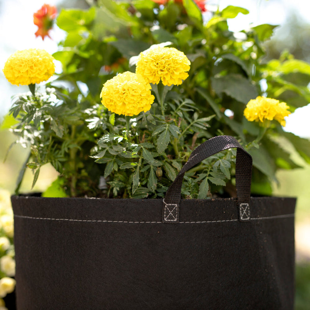 Geopot G-Lite Fabric Grow Bags with Handles