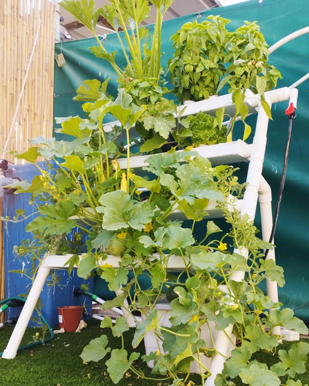 Homie 28 – Home Hydroponic Growing System