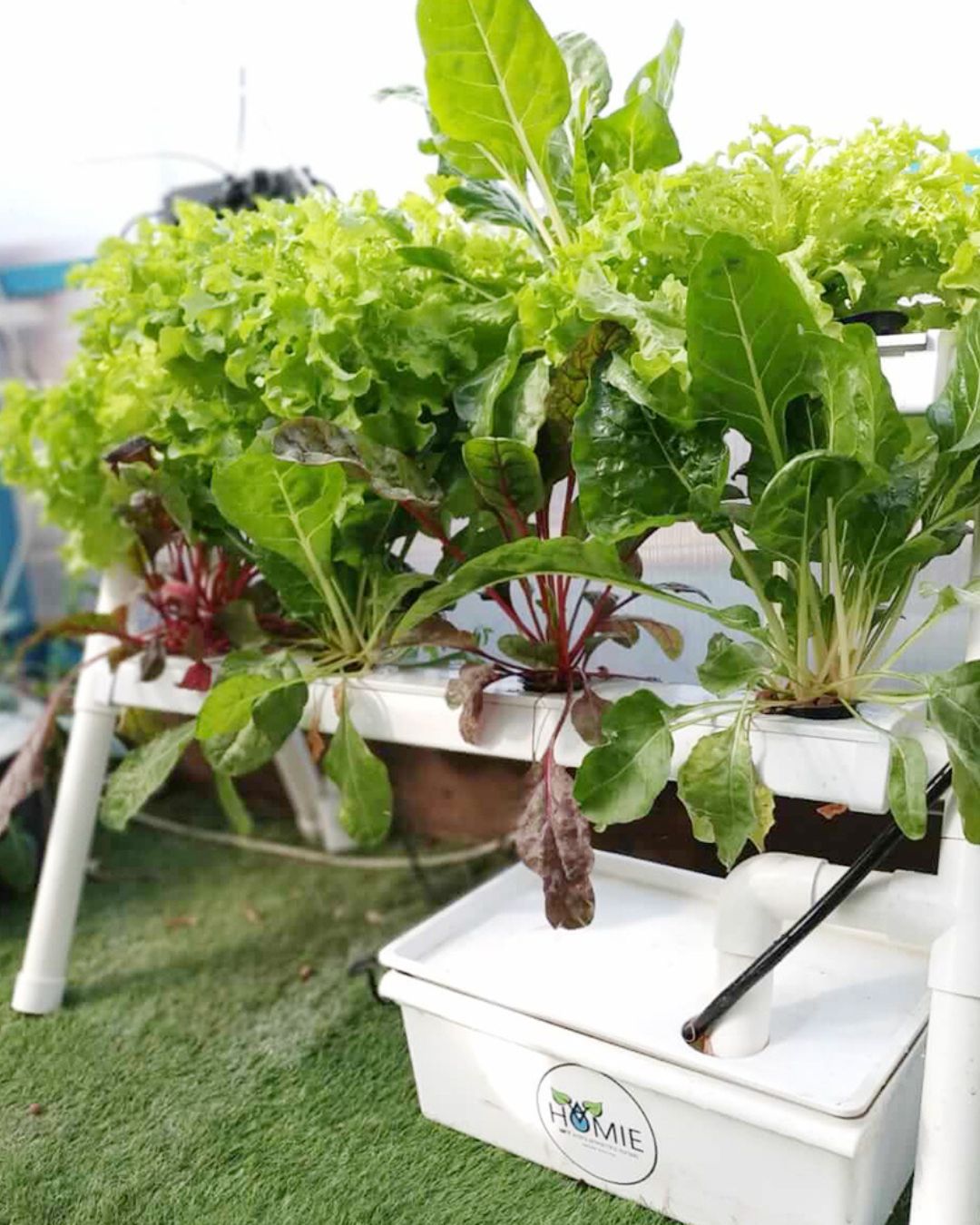 Homie 28 – Home Hydroponic Growing System