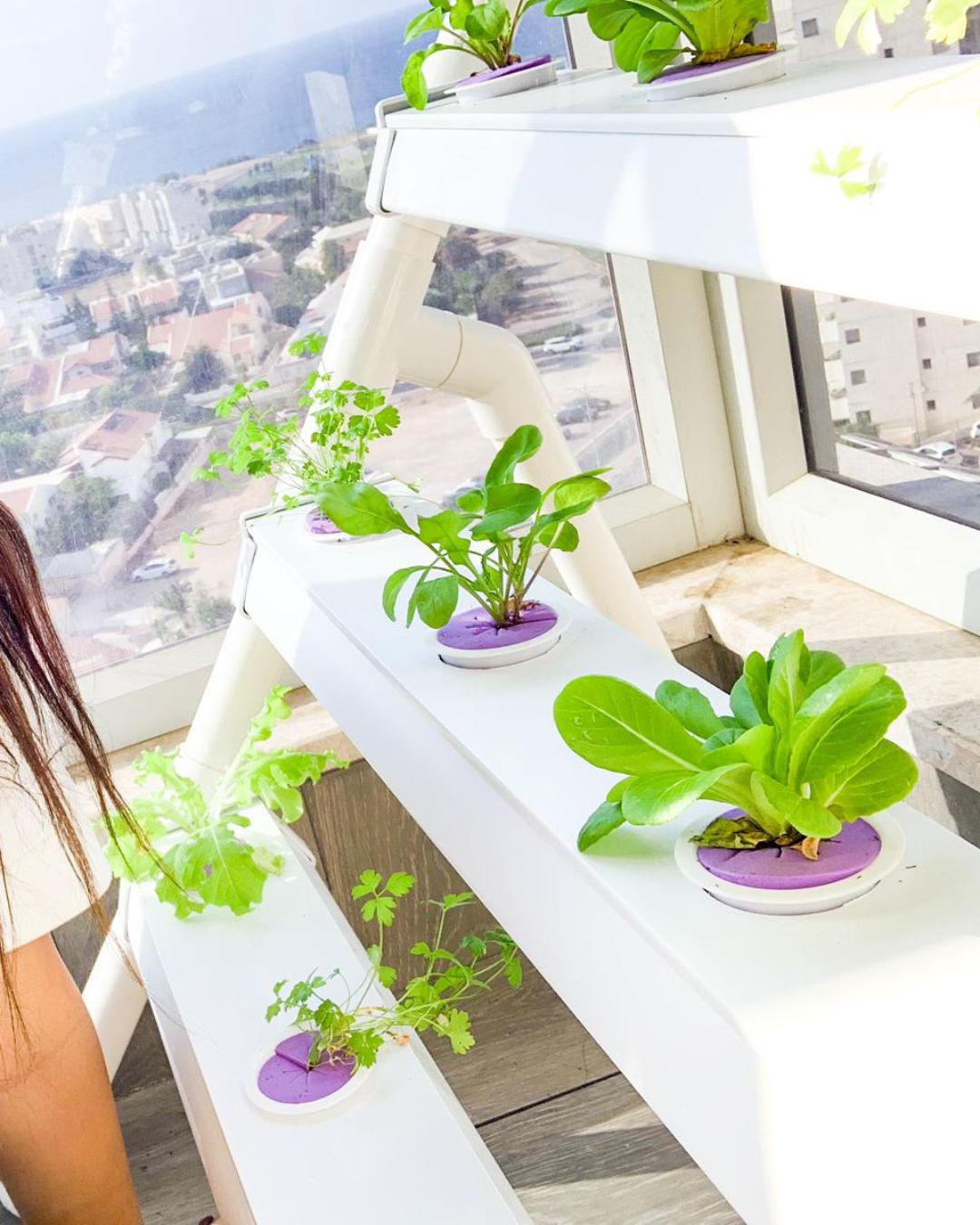 Homie 28 – Home Hydroponic Growing System