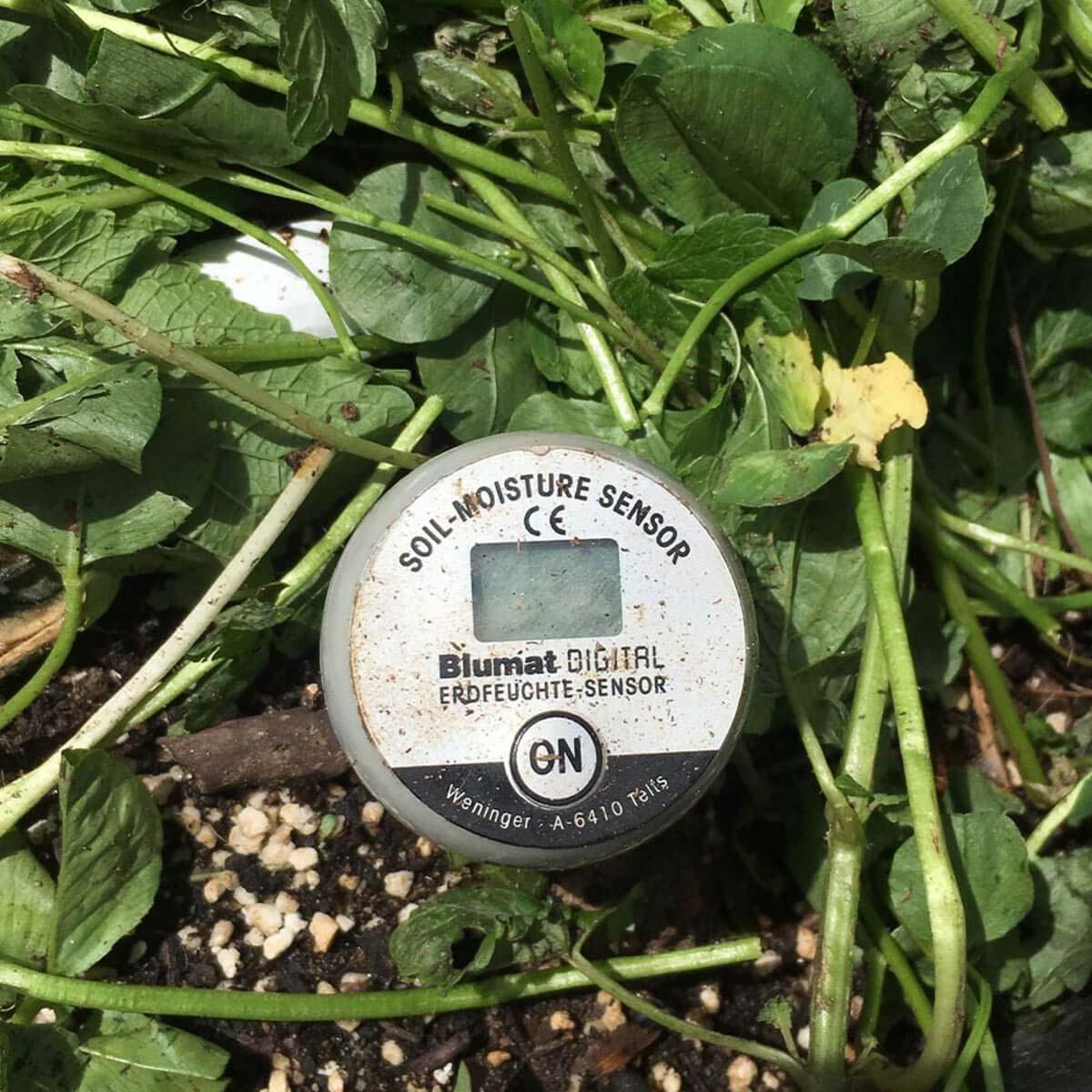 Blumat Digital Moisture Meter Kit