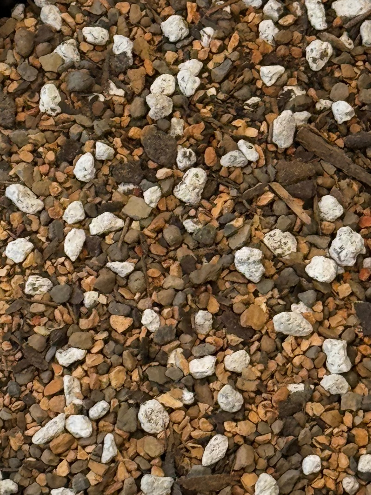 Cactus & Succulent Soil - Coarse Mix