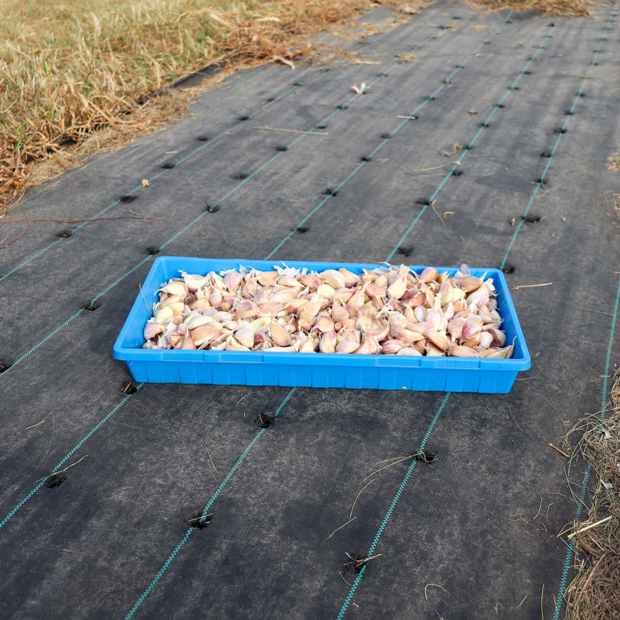 Landscape Fabric - 5 oz. Heavy Duty