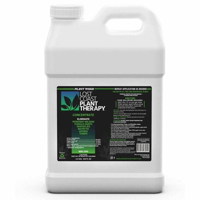 Lost Coast Plant Therapy