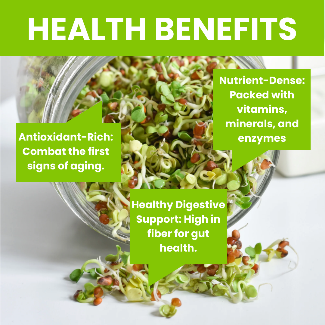 ZestiGreens Organic Sprouting Seed Mix – Broccoli, Radish & More