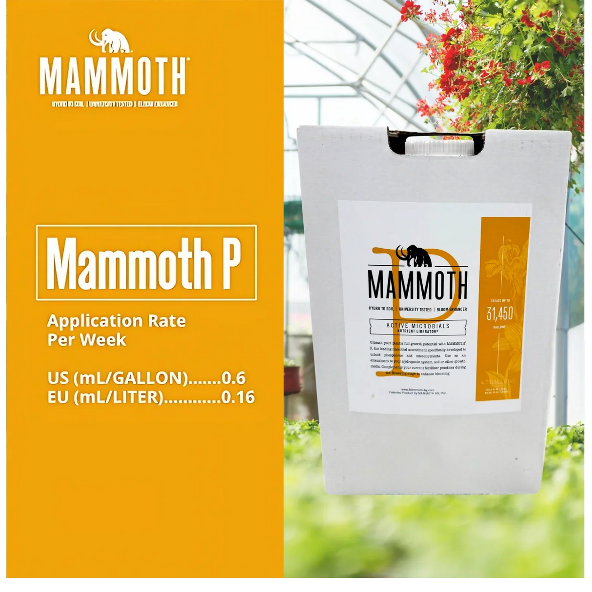 Mammoth P product packaging with application rate details on an orange background