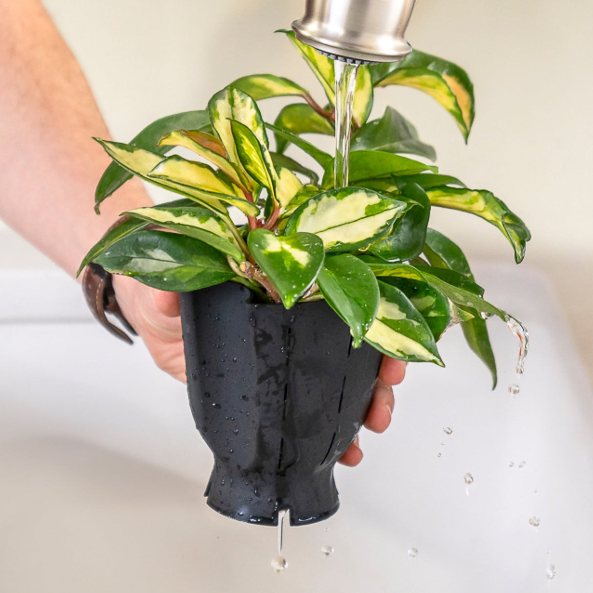 Forest Green Ceramic Plant Pot with Removable Liner