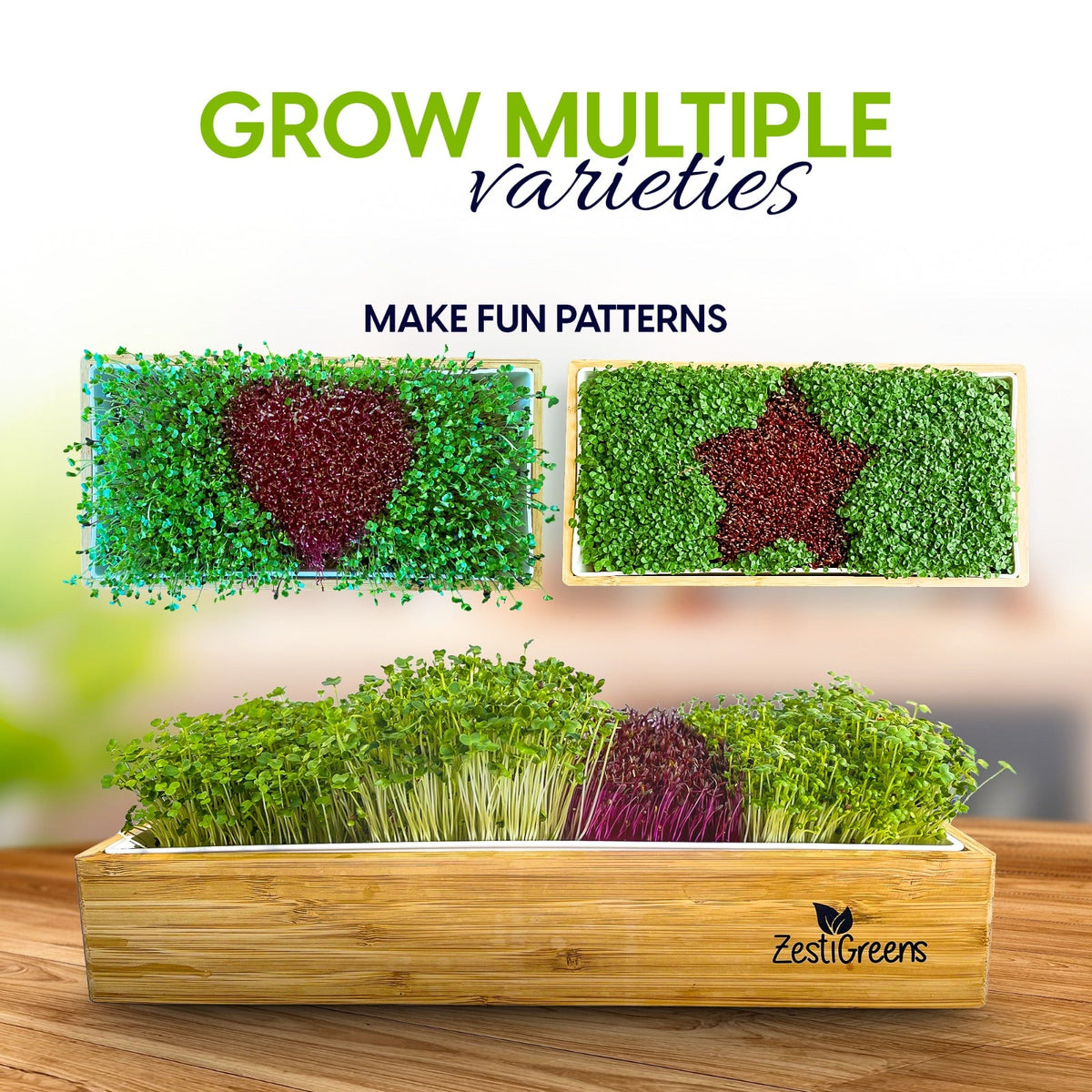 ZestiGreens Self-Watering Microgreens Growing Kit