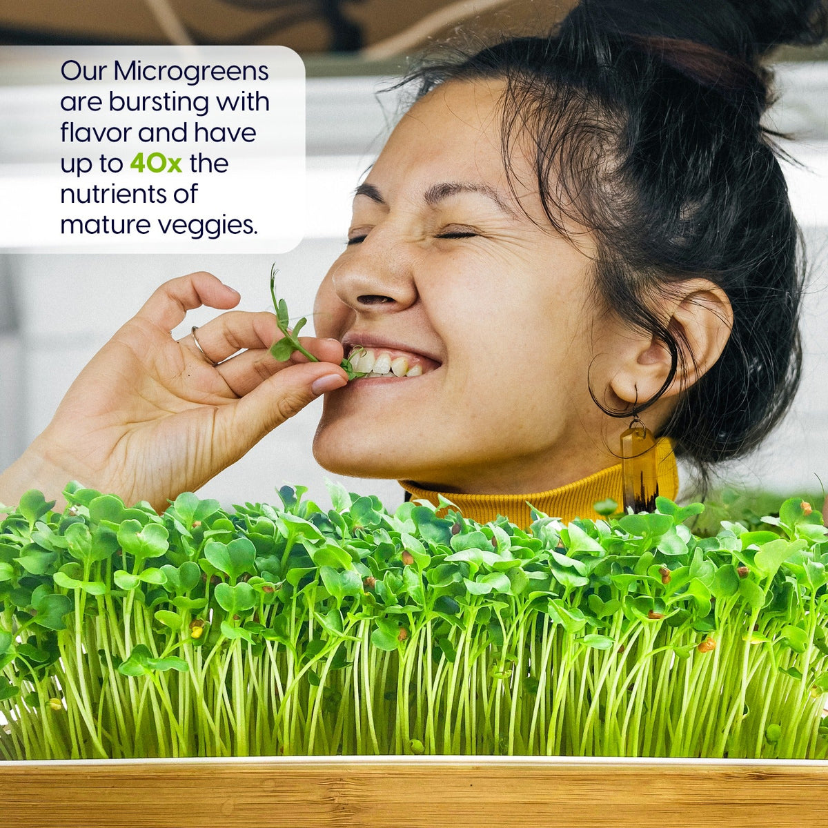 ZestiGreens Self-Watering Microgreens Growing Kit