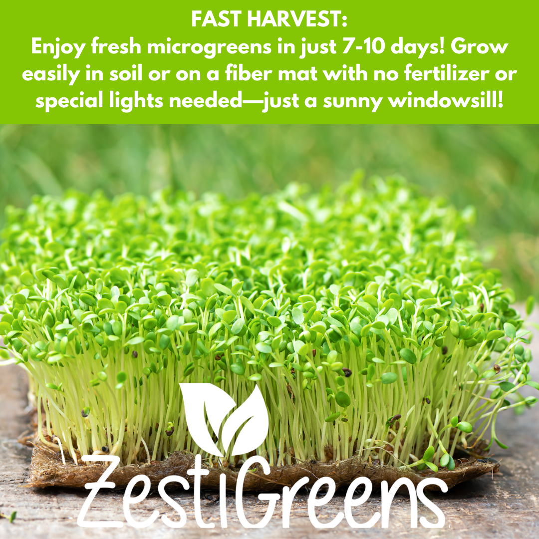 ZestiGreens Organic Microgreen Seeds – 10 Variety Pack