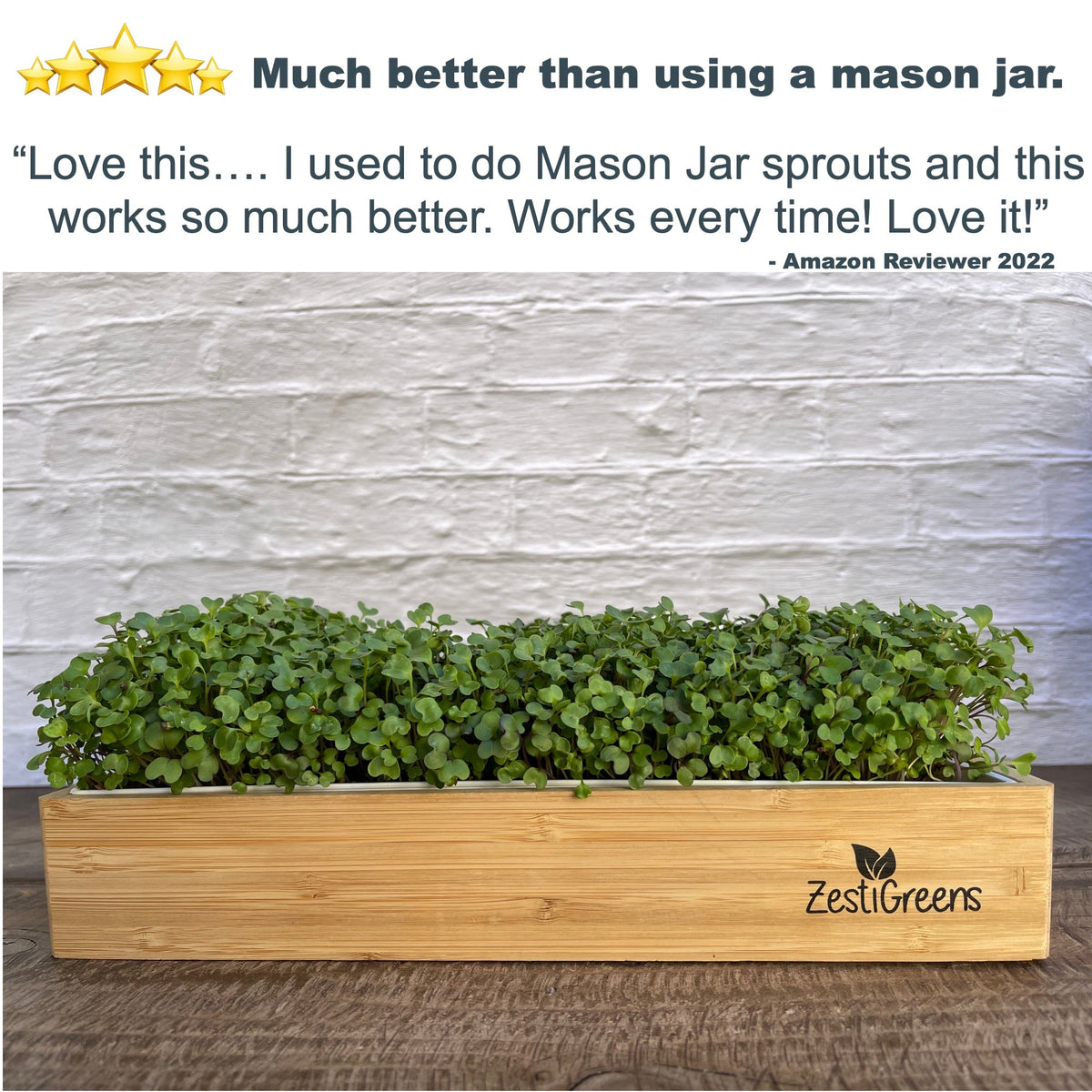 ZestiGreens Self-Watering Microgreens Growing Kit