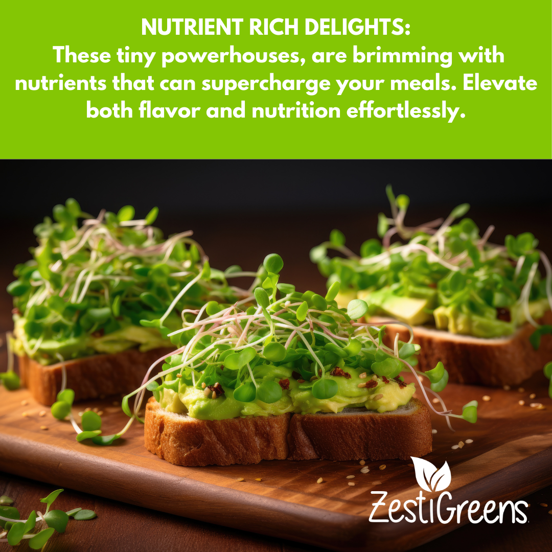 ZestiGreens Organic Microgreen Seeds – 10 Variety Pack