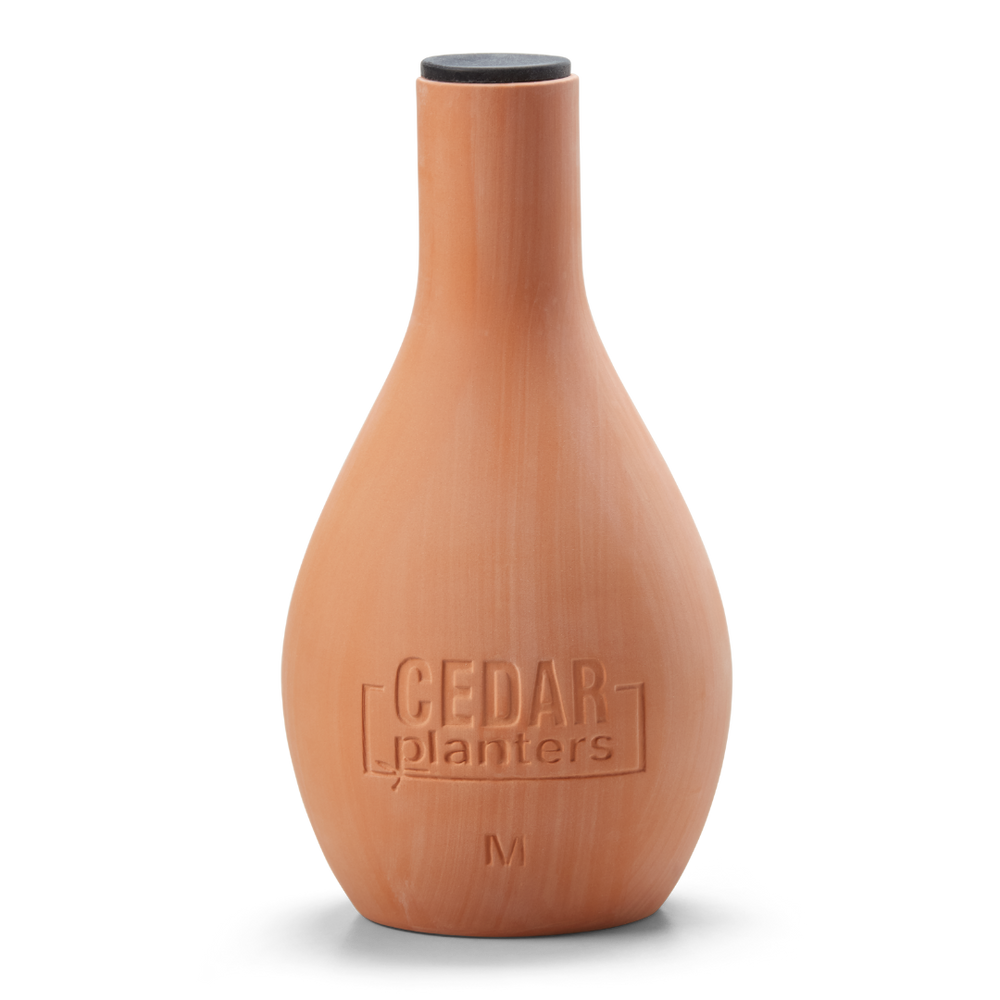 Self-Watering Clay Olla Pot