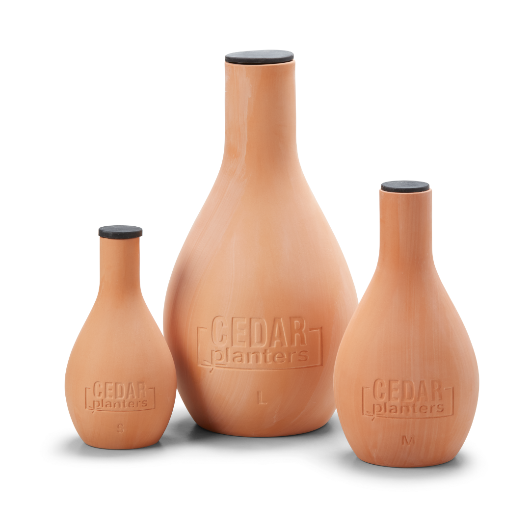 Self-Watering Clay Olla Pot