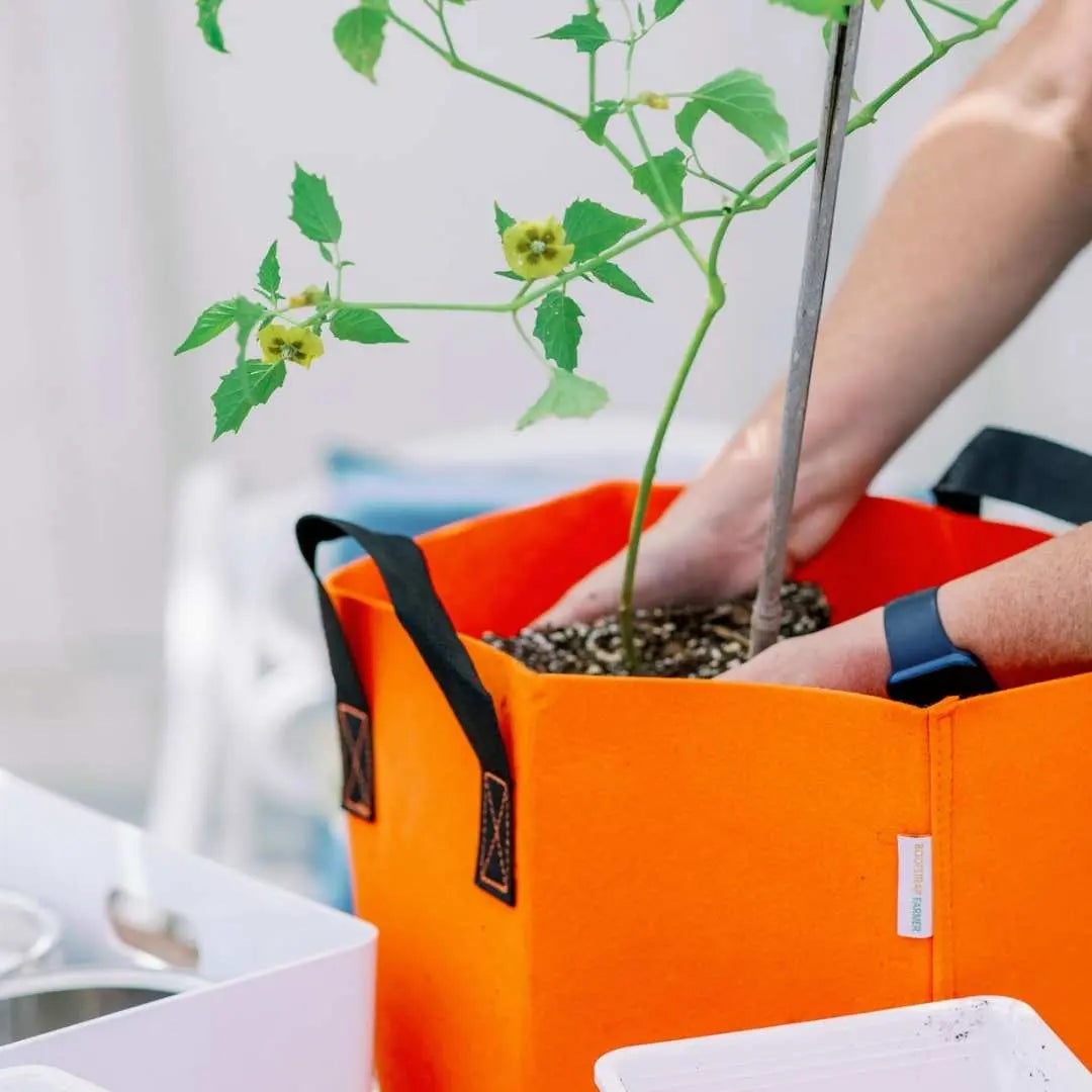 Bootstrap Farmer Fabric Grow Bags - 7 Gallon Colored Fabric Pots