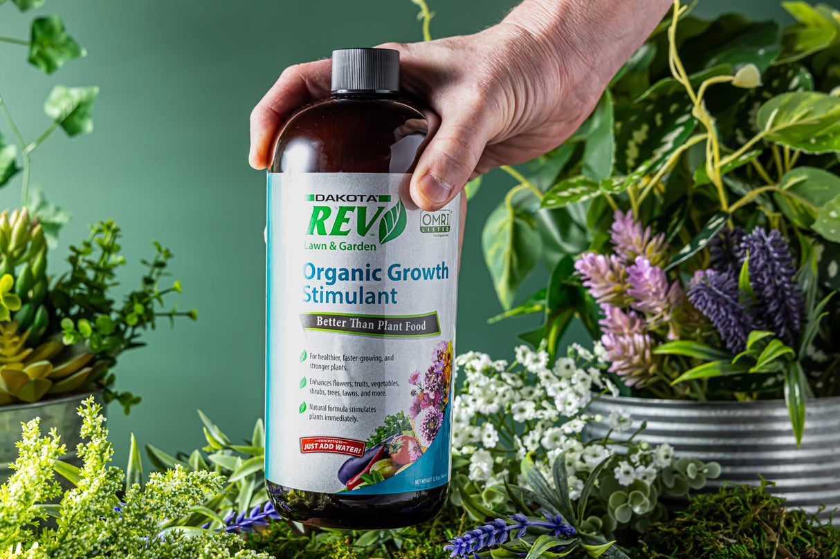 Hand holding a bottle of Dakota Rev Organic Growth Stimulant with plants in the background