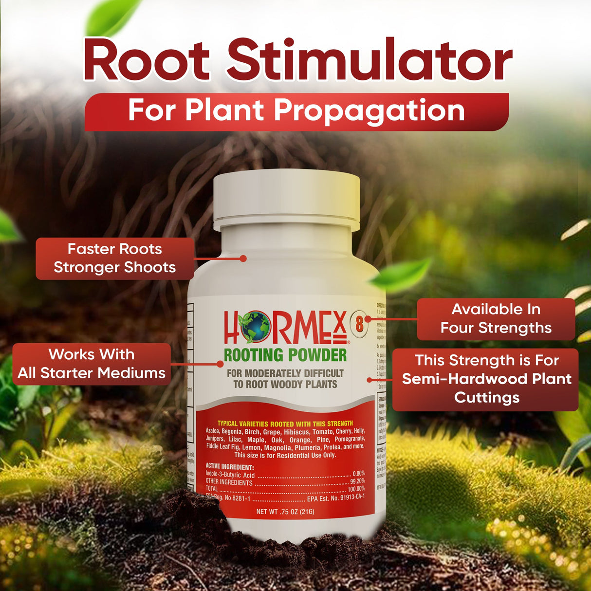 Hormex Rooting Duo – Vitamin B1 Concentrate (8 oz) + Rooting Powder #8 (21g)