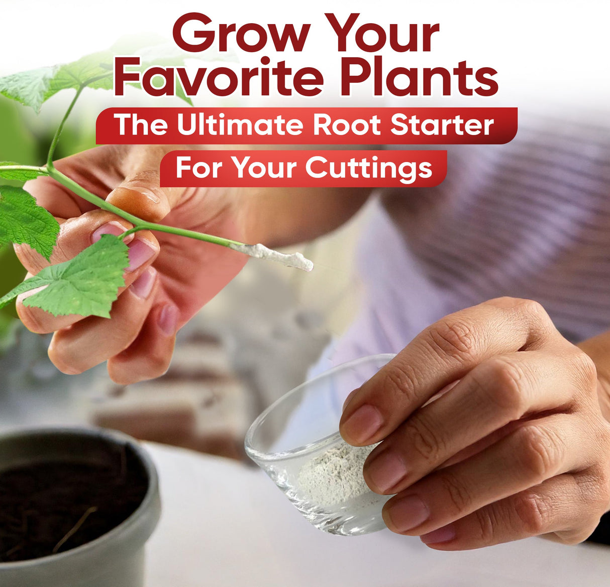 Hormex Rooting Powder #1 (0.10% IBA) – Rooting Hormone for Softwood Cuttings