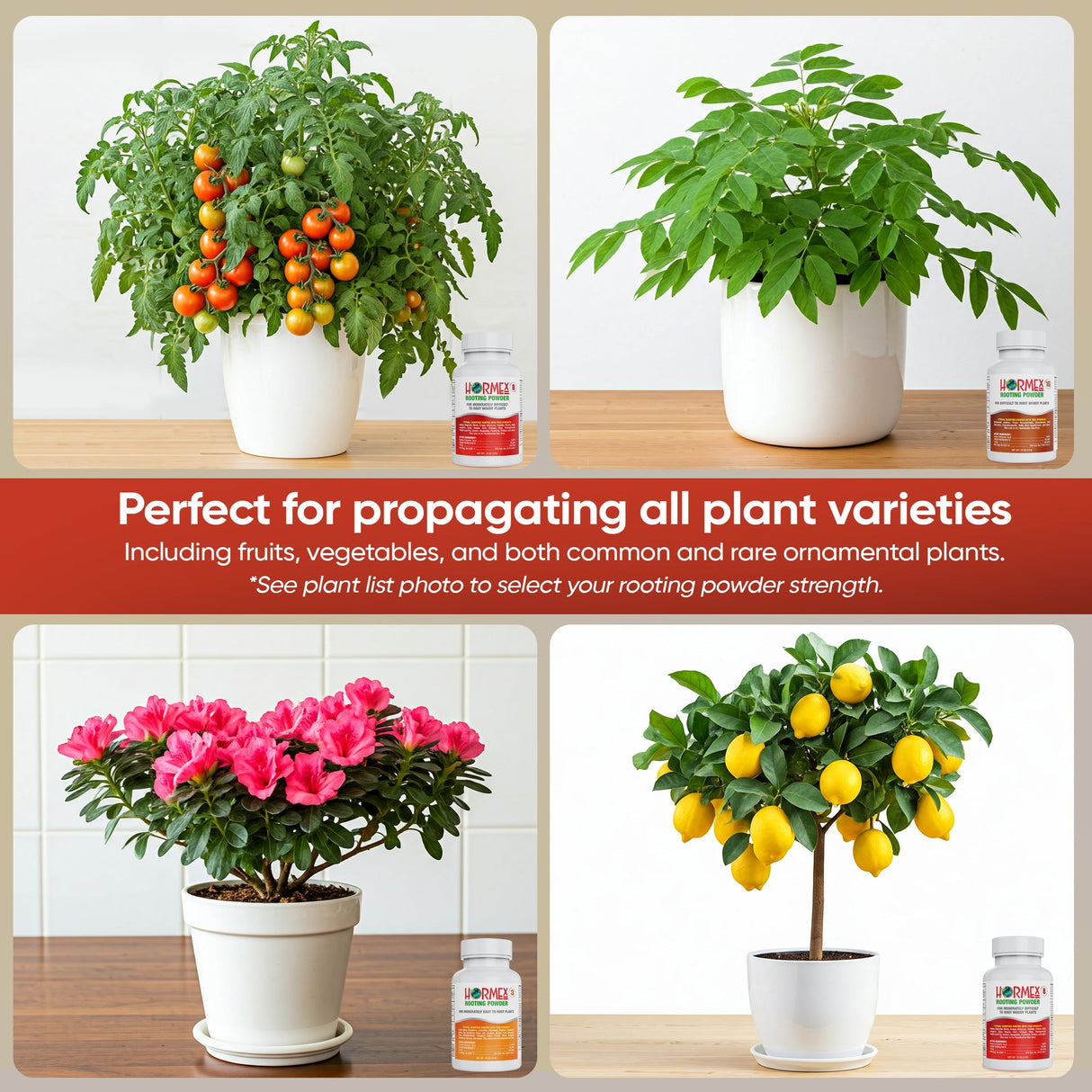 Hormex Rooting Powder Pack #3, #8, #16 – Cloning Hormone for All Cuttings