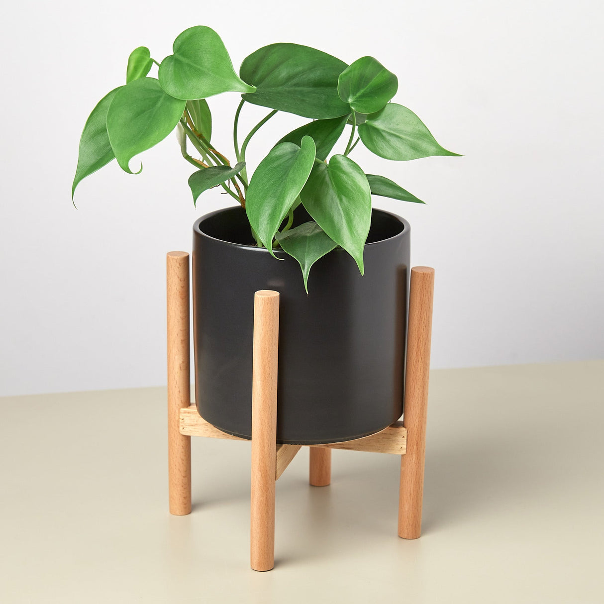 Ceramic Cylinder Planter with Wood Stand – 5 Inch
