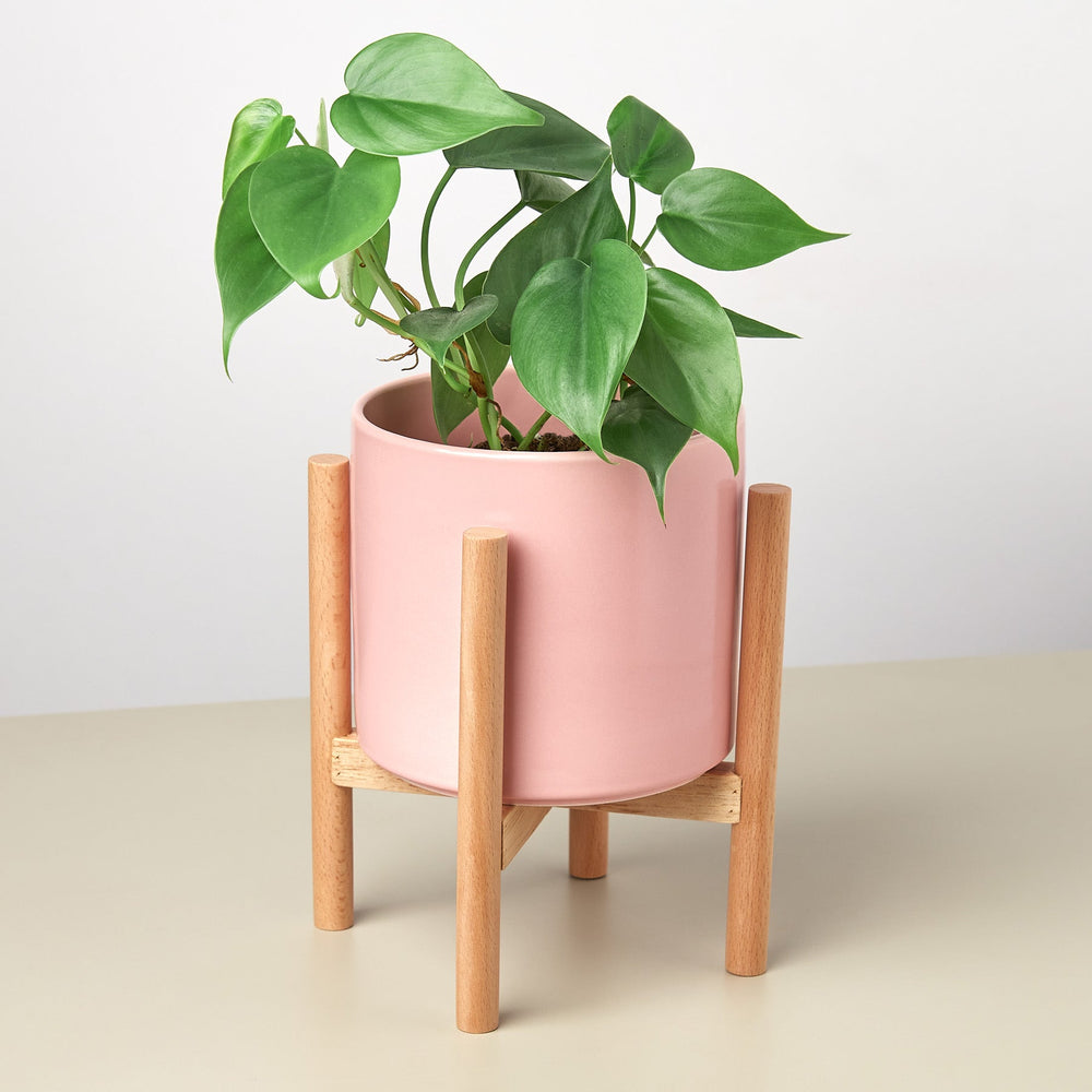 Ceramic Cylinder Planter with Wood Stand – 5 Inch