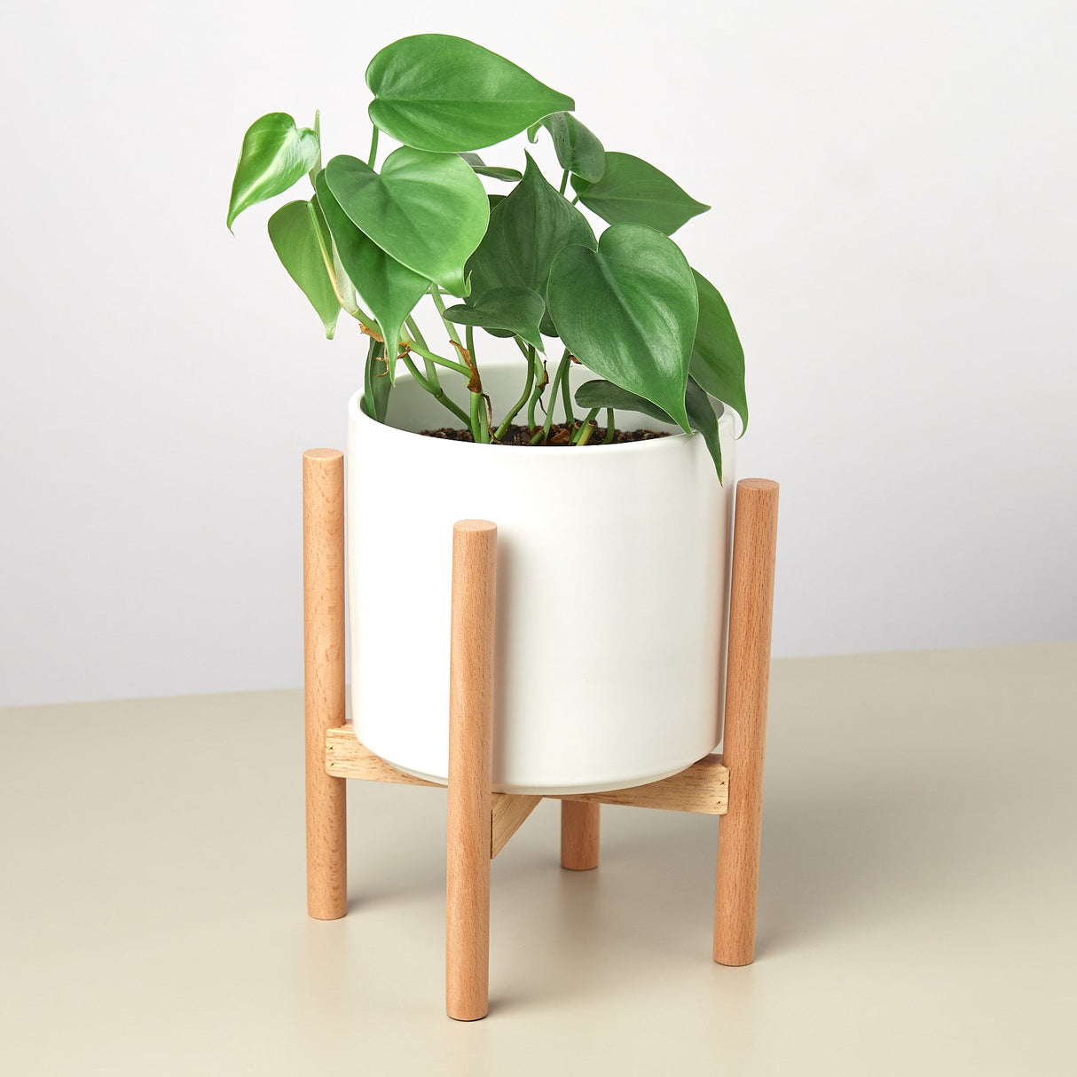 Ceramic Cylinder Planter with Wood Stand – 5 Inch