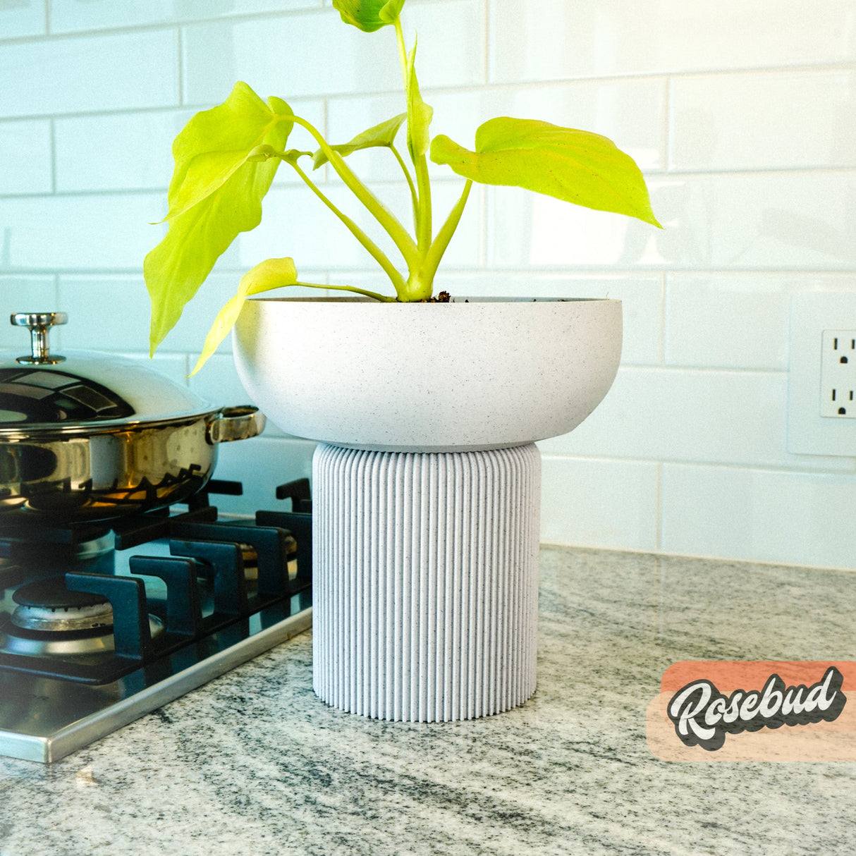 Modern Pedestal Plant Pot – Two-Piece Design