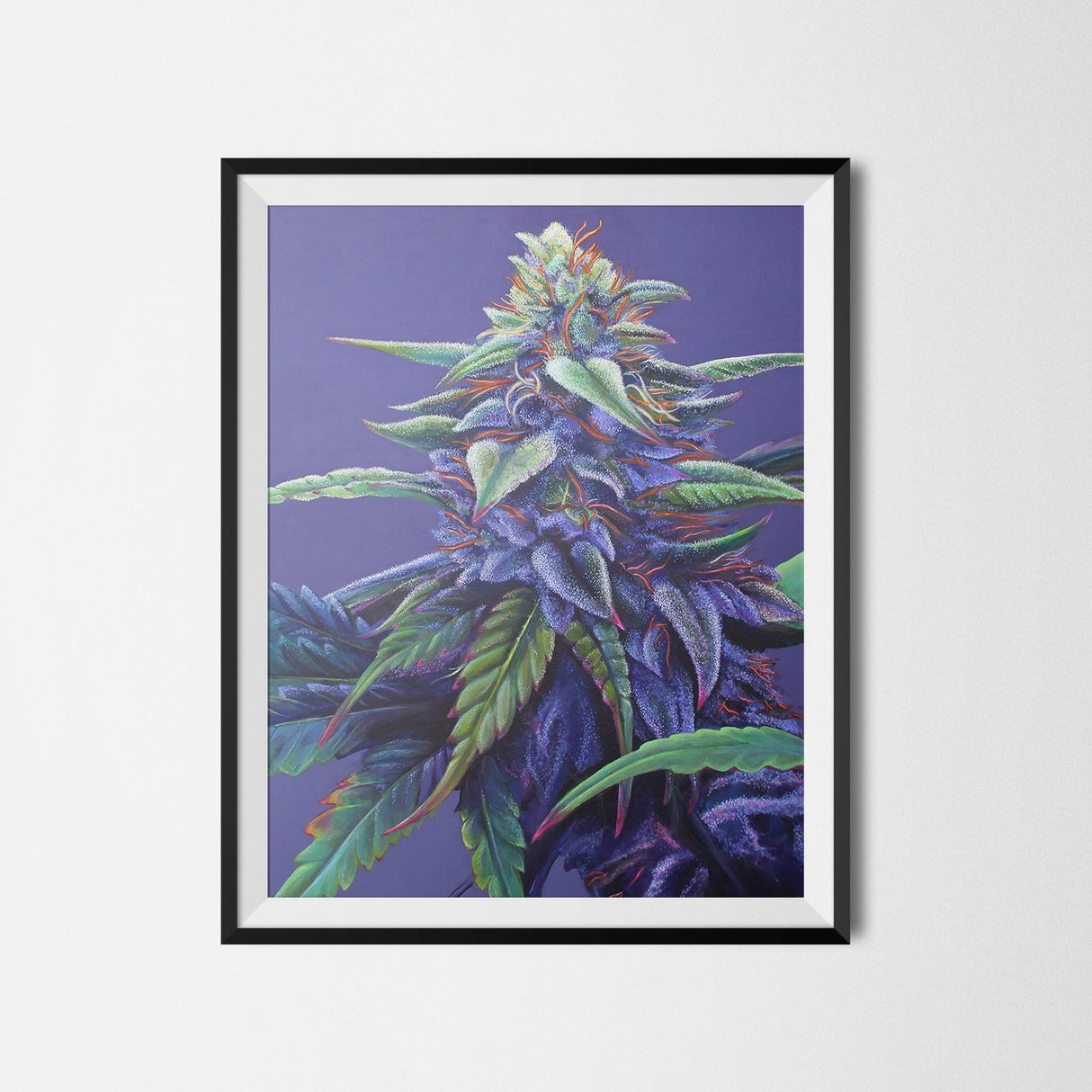 Purple Haze 18"x24" Poster