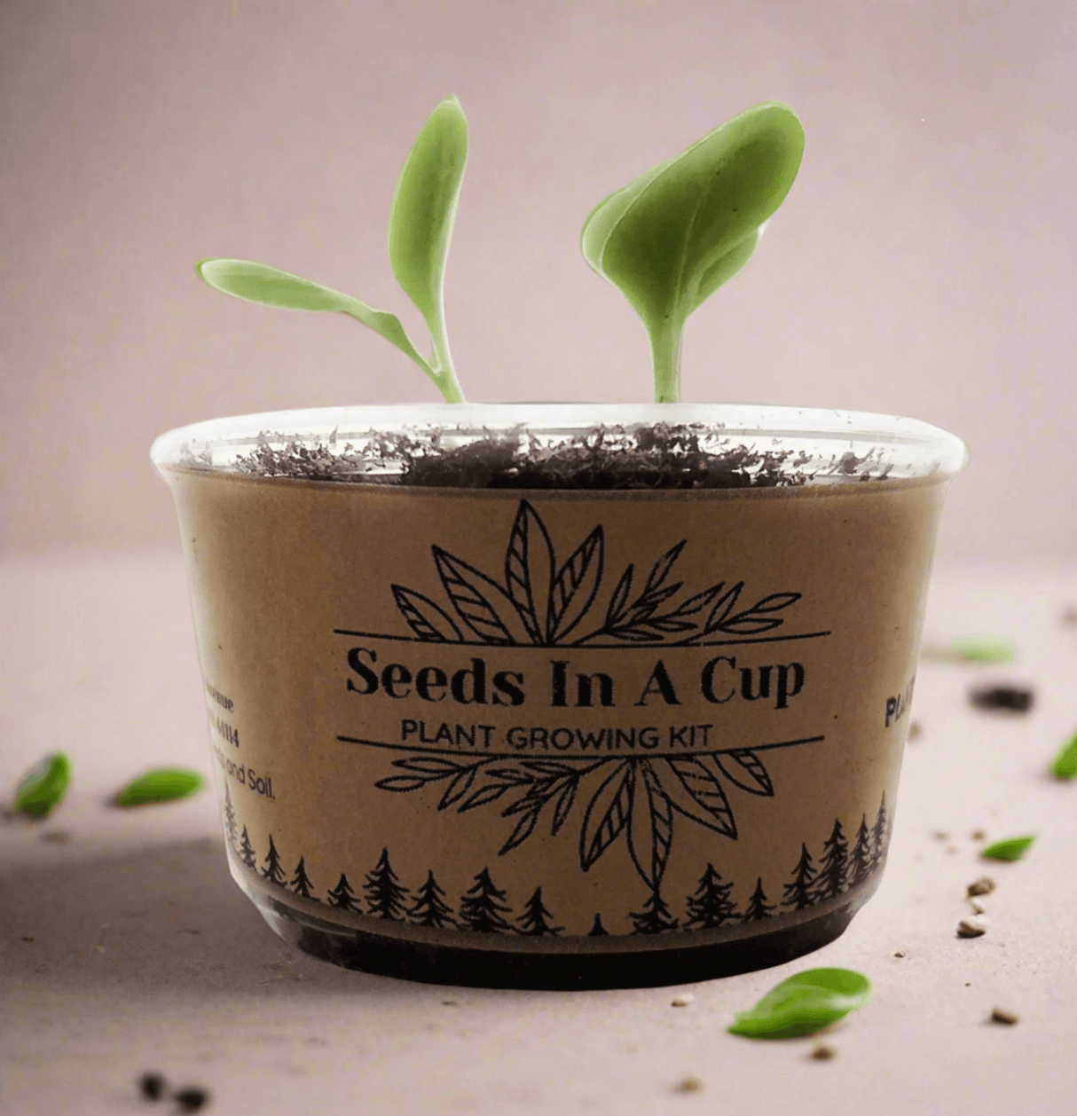Seeds In A Cup® | Jalapeño Plant Grow from Seed Gardening Kit