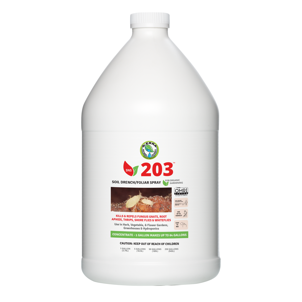 A white gallon-sized bottle of Sierra Natural Science SNS 203 Pesticide Concentrate with product information and branding on the label.