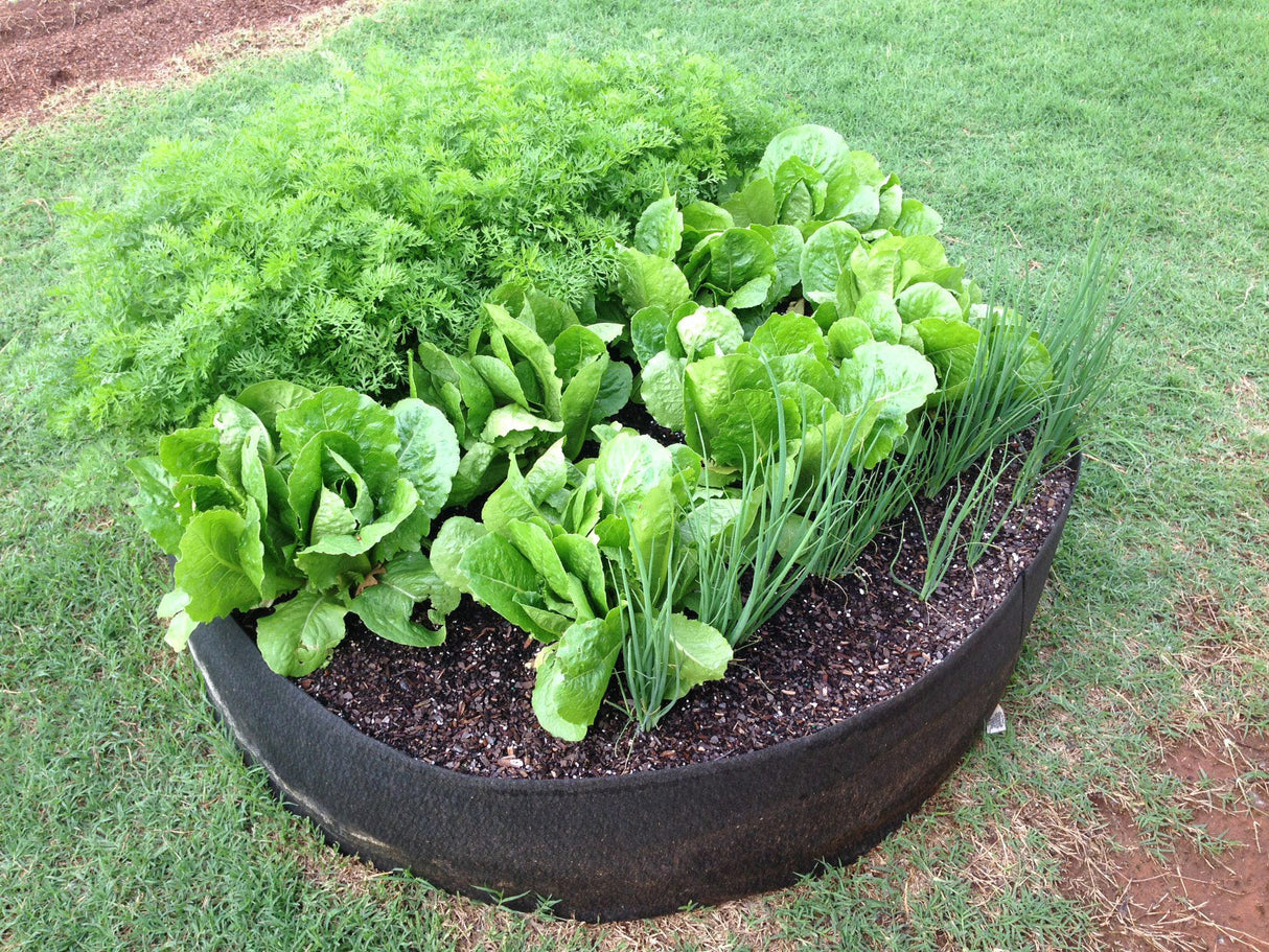 Smart Pot Round Raised Bed – Breathable Fabric Garden Planter