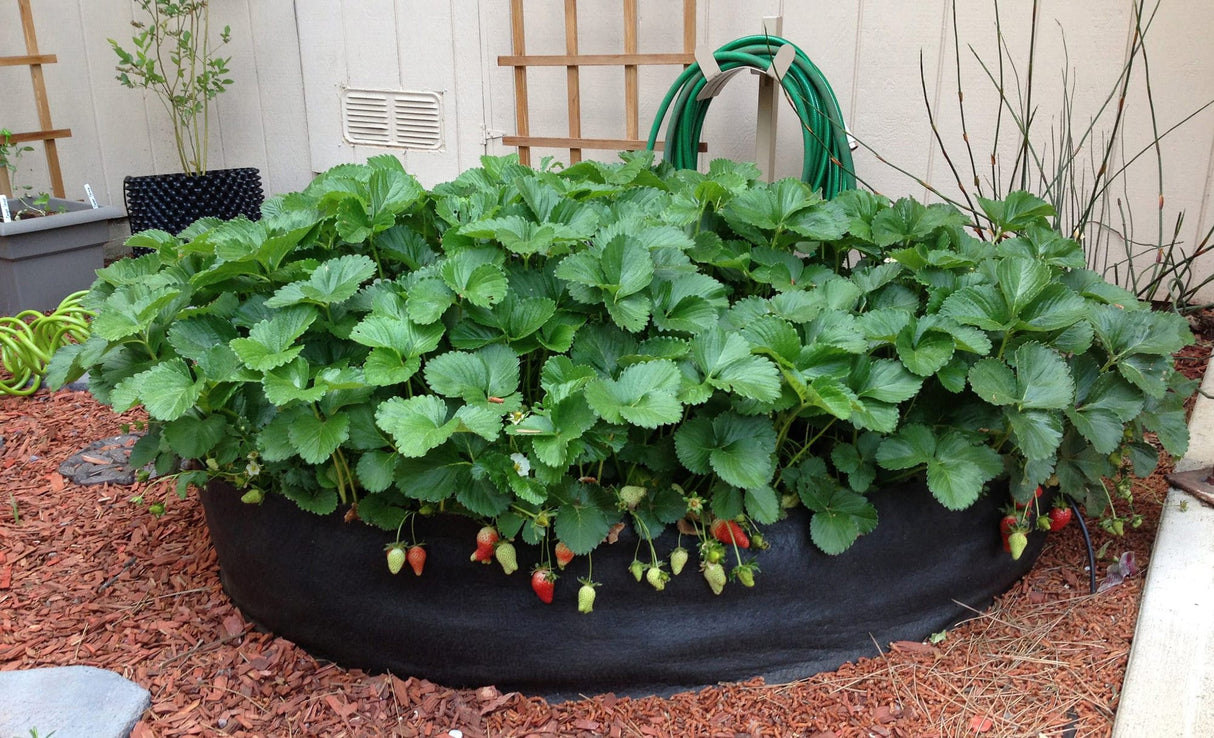 Smart Pot Round Raised Bed – Breathable Fabric Garden Planter