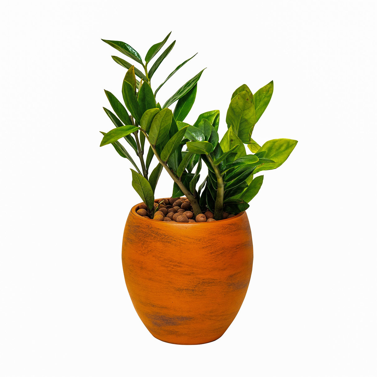 Smart Self-watering Round Planter Pot - Terracotta Painted