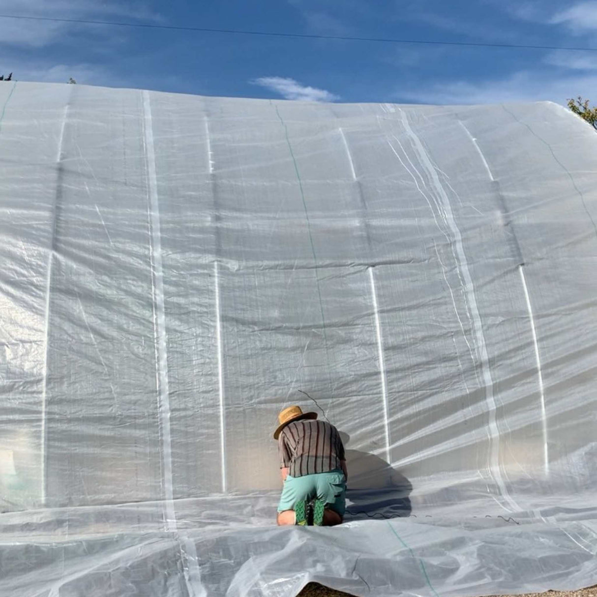 SOLARIG™ 156 Woven Poly Greenhouse Cover – 8 Mil, UV-Resistant