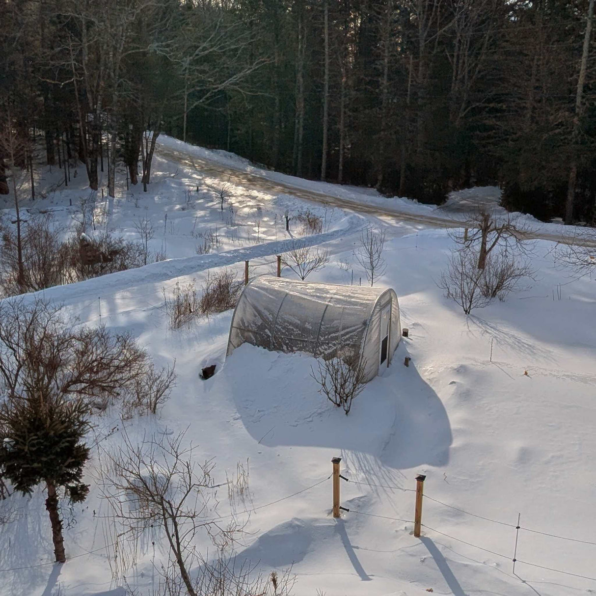 SOLARIG™ 182 Woven Poly Greenhouse Cover – 11 Mil, UV-Resistant