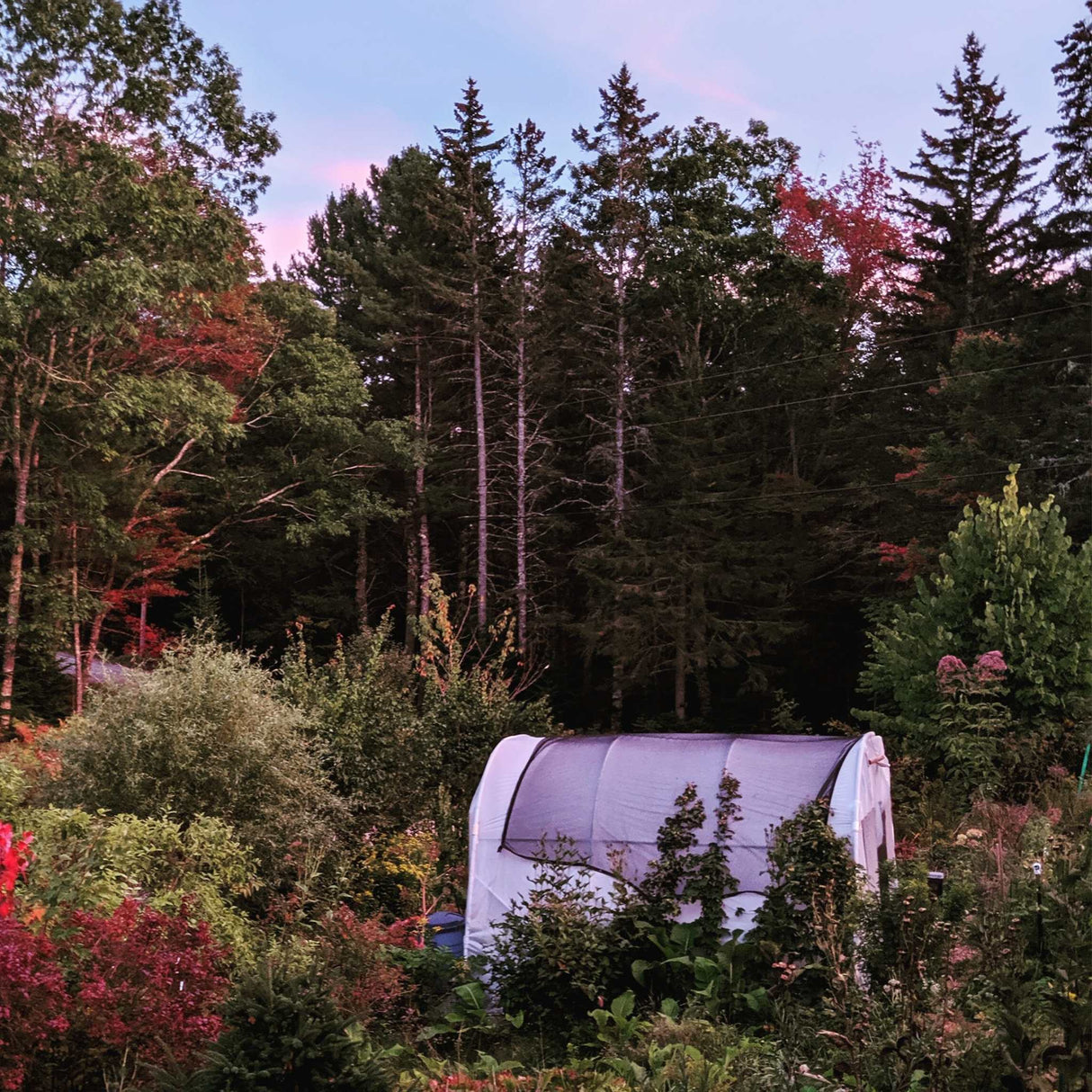 SOLARIG™ 156 Woven Poly Greenhouse Cover – 8 Mil, UV-Resistant