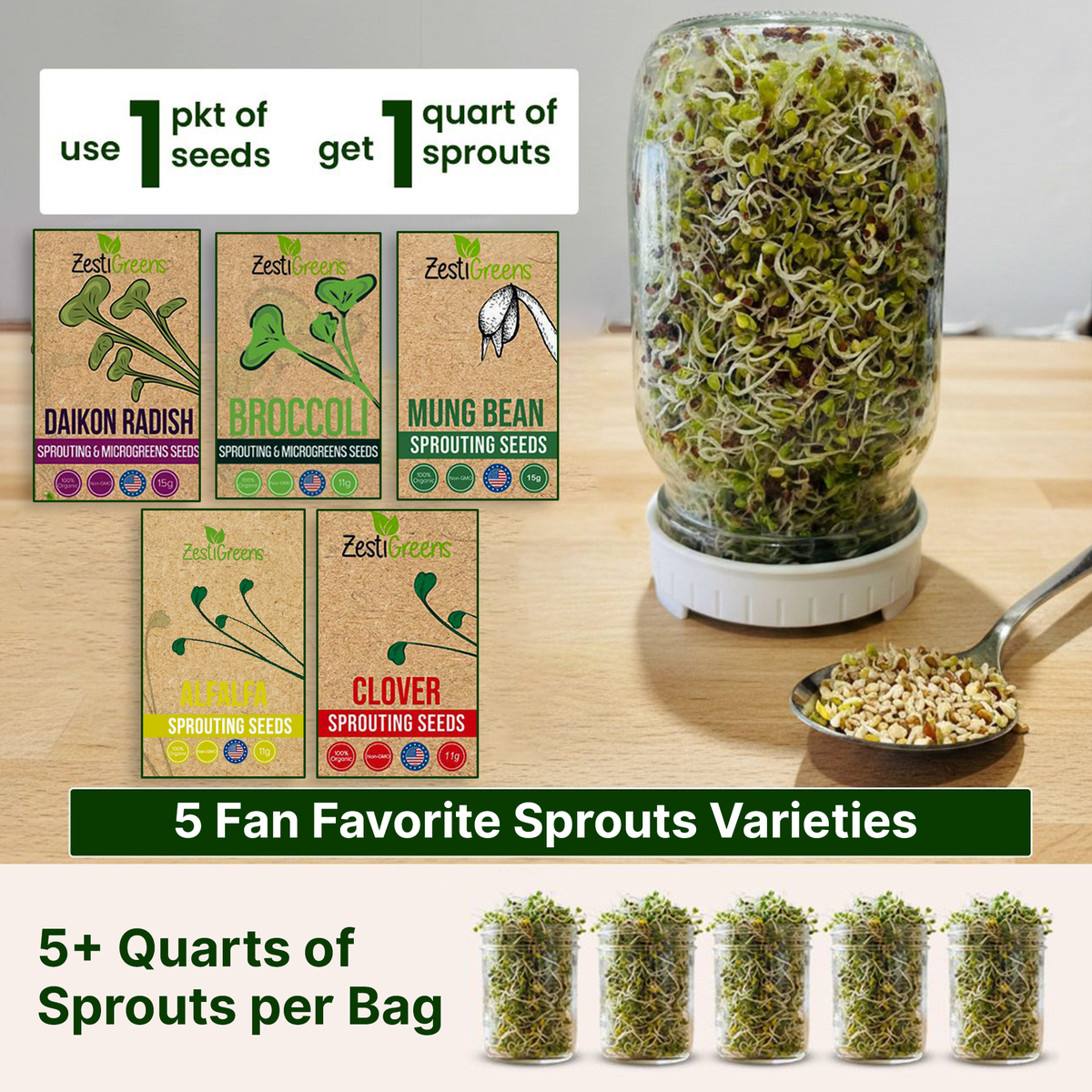 ZestiGreens Organic Sprouting Seeds 5 Variety Pack – Broccoli, Alfalfa, Mung Bean, Daikon Radish & Clover