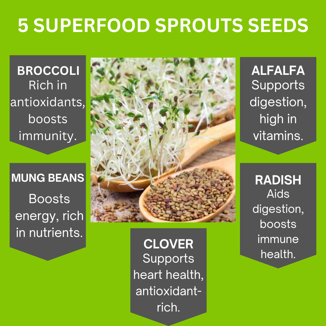ZestiGreens Organic Sprouting Seeds 5 Variety Pack – Broccoli, Alfalfa, Mung Bean, Daikon Radish & Clover