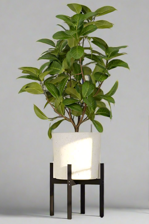 Vaxa Mid-Century Modern Self-Watering Planter