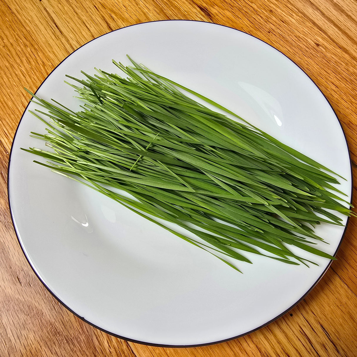 Wheatgrass Microgreens Seeds With Grow Mat