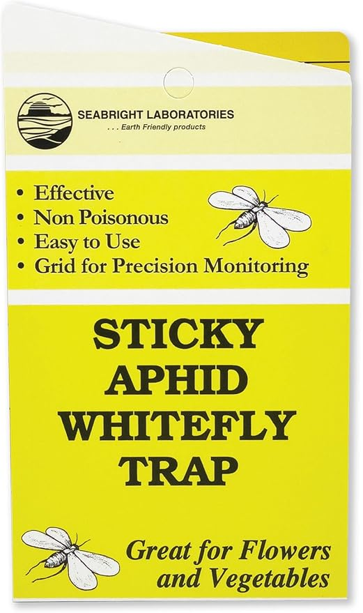 Sticky Bug Traps, Pack of 5 for Indoor Plants