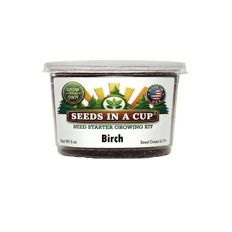 White Birch Tree Grow Kit | Seeds In A Cup®