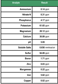 Calcined Clay Soil Amendment