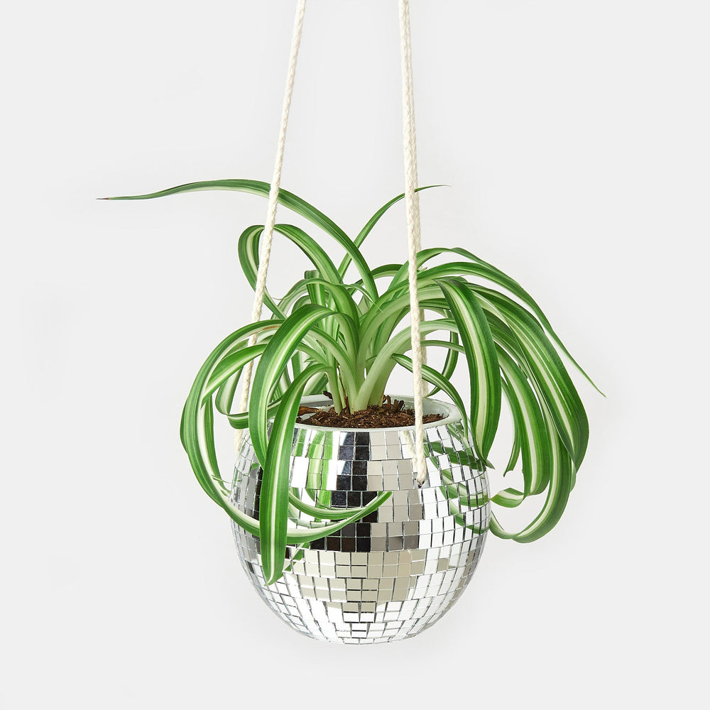 Disco Ball Hanging Planter – Self-Watering Pot