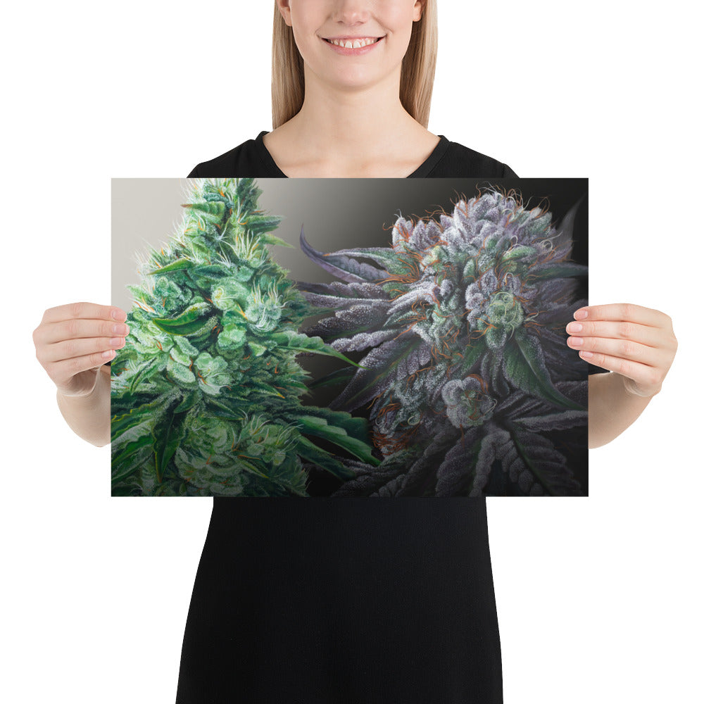 Day & Night Cannabis Strain Art Poster – 18x12" Matte Print