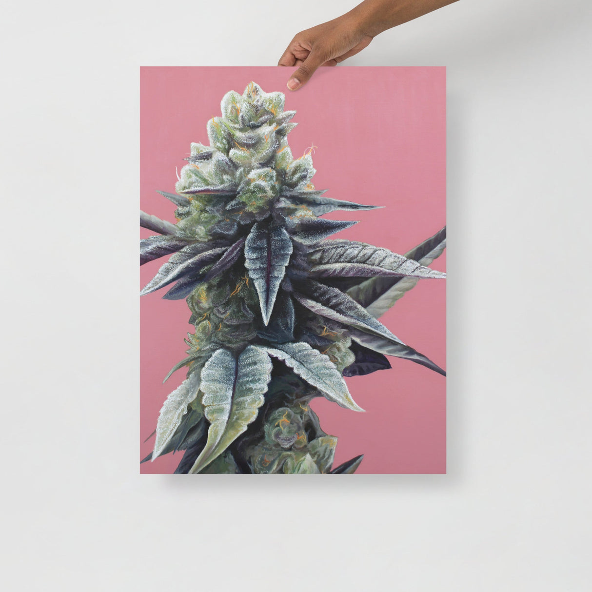 Dosidos Cannabis Strain Art Poster – 18x24" Matte Print