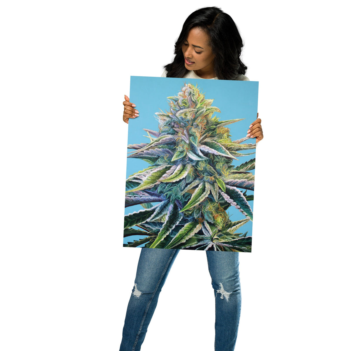 Blue Dream Cannabis Strain Art Poster – 18x24" Matte Print