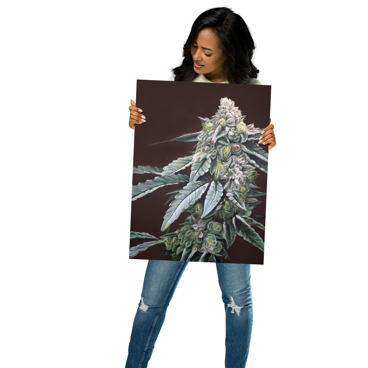 Boston Cream Pie Cannabis Strain Art Poster – 18x24" Matte Print